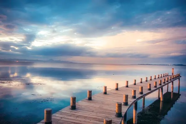 匹字摆笔顺怎么写，正确写法详解