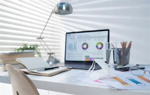 法律服务都做什么项目的